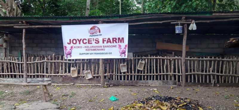 UMKM Bidang Peternakan Masuk Program Bedah UMKM by Fransiscus Go
