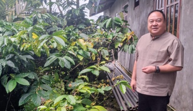 Fransiscus Go: Kopi Kapan Punya Cita Rasa Khas, Potensial Dikembangkan